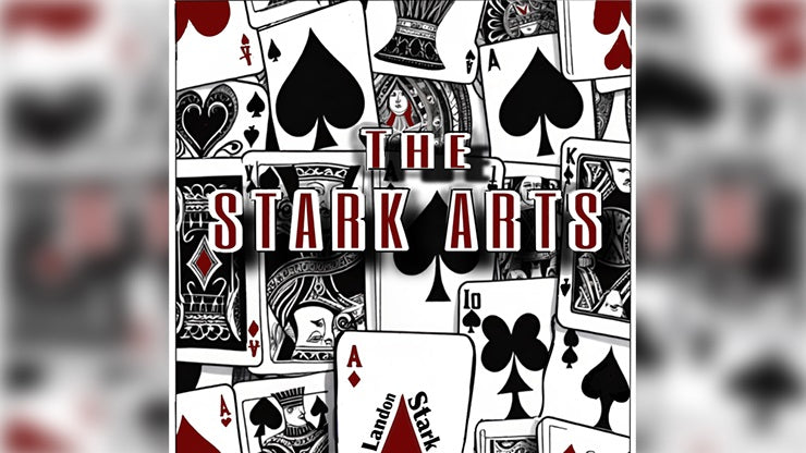 The Stark Arts by Landon Stark - ebook